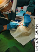 Dental Doctor Performs a Cavity Procedure Inside a Bright Office. Стоковое фото, фотограф Aleksandr Golubev / Фотобанк Лори