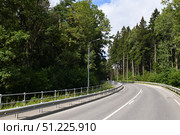 Asphalt road in a beautiful summer mixed forest. Стоковое фото, фотограф Володина Ольга / Фотобанк Лори