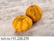 Decorative yelow pampkin seasonal vegetables. Стоковое фото, фотограф Андрей Старостин / Фотобанк Лори
