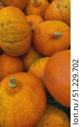 Pumpkins in a pile, perfect for autumn or Halloween theme, ideal for seasonal background. Стоковое видео, видеограф Анастасия Золотницкая / Фотобанк Лори