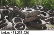 Discarded tires accumulate in a thick forest, showing the impact of improper waste disposal. The scene underscores the urgent need for eco-friendly practices in waste management. Стоковое видео, видеограф Громов Александр / Фотобанк Лори