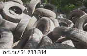 Numerous discarded tires are piled haphazardly in a forested area. The location appears to have been neglected, highlighting environmental concerns around waste management. Стоковое видео, видеограф Громов Александр / Фотобанк Лори