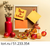 Colorful back to school display with corkboard, sticky notes, apples, and decorative elements. Стоковое фото, фотограф Наталья Семкина / Фотобанк Лори