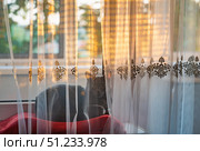 Cat Relaxing on Window Sill Behind Sheer Curtains. Стоковое фото, фотограф Дмитрий Брусков / Фотобанк Лори