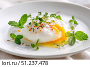 Poached egg on a white background. Close up of Eggs Benedict with liquid egg yolk running out. healthy breakfast. Close-up, macro. High key, studio. Delicious eggs served on a plate with fresh herbs. Стоковое AI-изображение, AI-художник Марина Демидюк / Фотобанк Лори