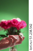 Capturing the Essence of Floral Scents Behind a Beautiful Arrangement of Flowers. Стоковое видео, видеограф Ольга Коваленко / Фотобанк Лори