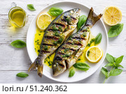 Grilled fish on a white plate, top view, wooden backdrop. Fried fish with slice of lemon and fresh herbs, olive oil. Snapper or sea bream on kitchen table. For cooking background or menu design. Стоковое AI-изображение, AI-художник Марина Демидюк / Фотобанк Лори
