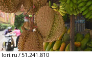 Durians on the counter at market. Exotic tropical fruit. Asian king of fruits. Стоковое видео, видеограф Степанов Григорий / Фотобанк Лори