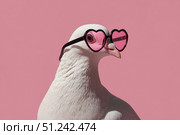Dove wearing heart shaped pink sunglasses on a studio pink color background. Copy space for text. Cute funny white pigeon dressed fashion clothes. Humor, Love, Romance concept. Valentines Day Holiday. Стоковое AI-изображение, AI-художник Марина Демидюк / Фотобанк Лори