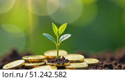 A young green sprout grows out of ground and gold coins close-up on a green background. Economics, finance, ecology, startup. AI generated. Стоковое AI-видео, аниматор Ольга Симонова / Фотобанк Лори