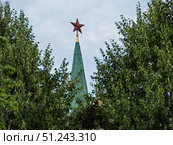 Kremlin Tower in Moscow Framed by Lush Trees. Стоковое фото, фотограф Sergakoff / Фотобанк Лори
