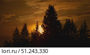Timelapse of the sunset over the treetops. Стоковое видео, видеограф Артем Шадрин / Фотобанк Лори