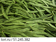 green romano beans on the counter in the market. Стоковое фото, фотограф Татьяна Яцевич / Фотобанк Лори
