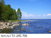 Берег Ивановского острова, Онежское озеро, Карелия. Стоковое фото, фотограф Алексей Иванов / Фотобанк Лори
