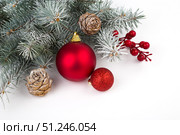 Christmas card with fir branches and Christmas decorations. Copy space. Стоковое фото, фотограф Ирина Толокновская / Фотобанк Лори