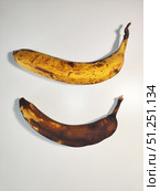 Photo of Overripe Banana on White Background. Стоковое фото, фотограф Константин Никитеев / Фотобанк Лори