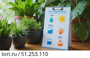 Planting schedule with care instructions next to potted plants indoors. Стоковое AI-видео, аниматор KATERINA AI / Фотобанк Лори