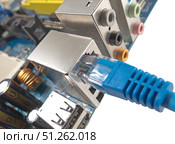 Сетевой кабель подключен к материнской плате компьютера. LAN cable is connected to the computer's motherboard. Стоковое фото, фотограф Татьяна Д / Фотобанк Лори