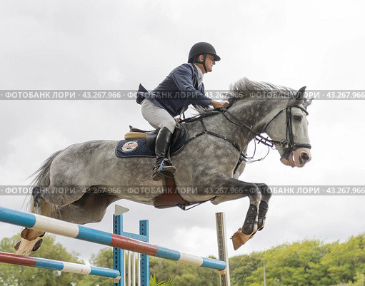 19 may 2024, Mafra, Portugal - competition in military academy - man is riding a horse and jumping over a hurdle. Редакционное фото, фотограф Константин Шишкин / Фотобанк Лори