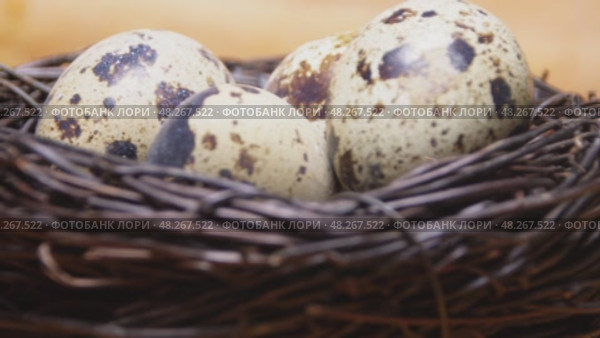 A brown object with a bunch of strings on it is sitting on a wooden table. Стоковое видео, видеограф Ярославский Максим / Фотобанк Лори