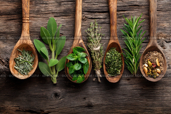 A collection of spoons with various herbs and spices on a wooden surface. Стоковое AI-изображение, AI-художник Ярославский Максим / Фотобанк Лори
