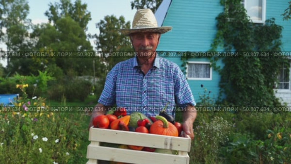 A farmer with a box of vegetables and fruits walks through the plot. Стоковое видео, видеограф Igor Skripachev / Фотобанк Лори