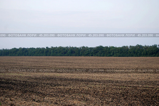 A field where the harvest has been reaped. Стоковое фото, фотограф Andrew_Swarga / Фотобанк Лори