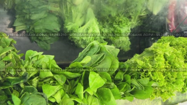 A Fresh Green Lettuce Variety, Piled High and Ready for Sale, Perfect for Your Meals. Vibrant, fresh green lettuce with curly leaves ready for market. Perfect for salads and healthy meals. Стоковое видео, видеограф worker / Фотобанк Лори