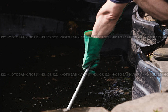 A gardener cleans a decorative pond from foliage and dirt. Construction and cleaning of an ornamental pond in the garden. Landscape design. Стоковое фото, фотограф Photojuli / Фотобанк Лори