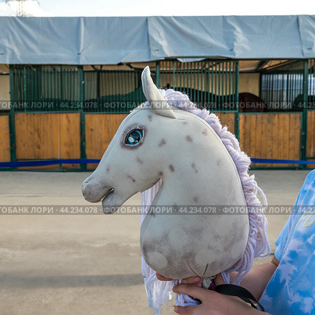 A horse's head on a hobby horsing stick in a child's hand. Стоковое фото, фотограф Галина Эмберг / Фотобанк Лори