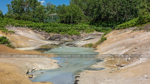 A hot spring in the caldera of an extinct volcano. Bubbles on the surface of the water. Sulphurous deposits on the soil. Lush green vegetation all around. Kamchatka. Uzon. Стоковое фото, фотограф Вера Ивановна Кубарева / Фотобанк Лори