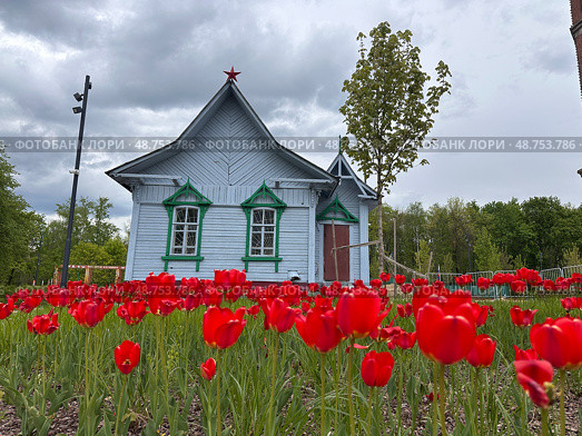 A house with a red roof and green trim. Стоковое фото, фотограф Надежда Кап / Фотобанк Лори