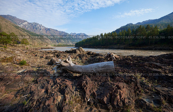 A log lies on the rocks on the bank of the Katun River in Altai. On background Altai village Elanda. Стоковое фото, фотограф Сергей Пристяжнюк (Serg Zastavkin) / Фотобанк Лори