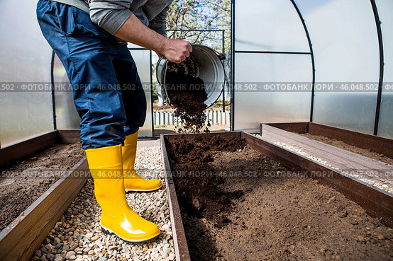 A male farmer pours new soil, soil for a new greenhouse. The concept of spring vegetable planting, greenhouse installation and farming. Стоковое фото, фотограф Photojuli / Фотобанк Лори
