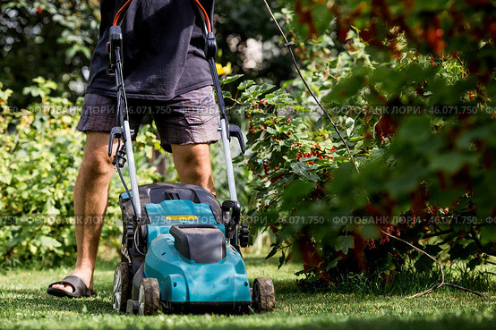 A man with a lawn mower mows the grass in the backyard. Agricultural machinery for garden maintenance. The banner. Стоковое фото, фотограф Photojuli / Фотобанк Лори