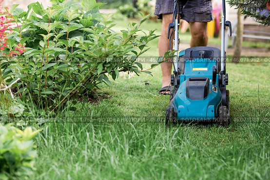 A man with a lawn mower mows the grass in the backyard. Agricultural machinery for garden maintenance. The banner. Стоковое фото, фотограф Photojuli / Фотобанк Лори