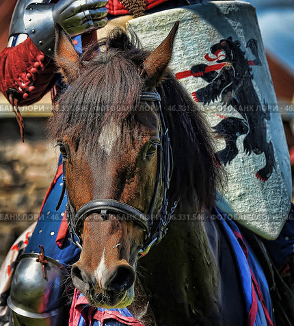 A medieval knight on horseback, participating in a historical reenactment. His equipment includes armor, gauntlets, and red leather gloves. He holds a shield decorated with a heraldic image of a black bear with a red staff, symbolizing strength and nobility.The horse is probably trained for a joust or combat maneuvers, and its bridle and harness are of a medieval style. The appearance of the shield and armor indicates a wealthy and noble warrior, perhaps representing a particular knightly order or heraldic house. Стоковое фото, фотограф Анна Кривицкая / Фотобанк Лори