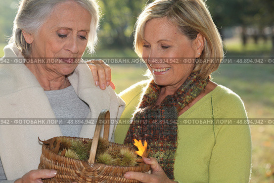 a mid age blonde woman and an older woman holding a wickerwork basket full of chestnuts. Стоковое фото, агентство Ingram Publishing / Фотобанк Лори