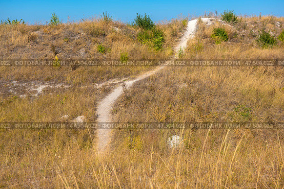 A narrow path winding through dry grass on a chalk hill under a bright blue sky. The landscape is typical of the steppe zone, with yellowish-brown vegetation predominating. The top of the hill is illuminated by sunlight, highlighting the whiteness of the chalk deposits. It is a quiet, slightly wild area, evoking associations with solitary walks, a nature trail or a tourist route. Стоковое фото, фотограф Анна Кривицкая / Фотобанк Лори