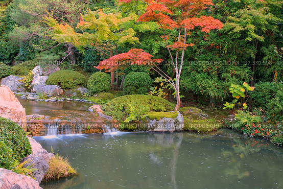 A new pond garden or yoko-en of Taizo-in temple at autumn. Kyoto. Japan. Стоковое фото, фотограф Сергей Пристяжнюк (Serg Zastavkin) / Фотобанк Лори