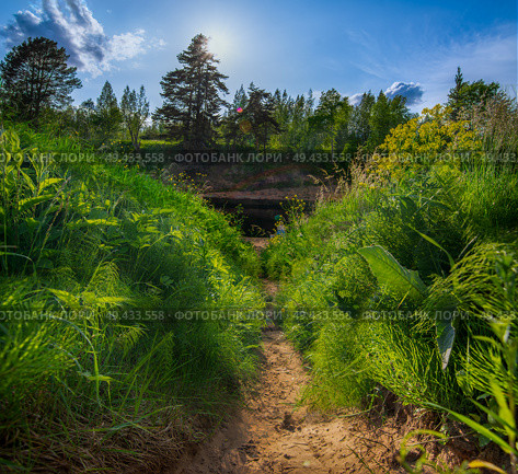 A path winding through dense greenery leads to Exposures of the Devonian on the Oredezh River. Стоковое фото, фотограф Irina Kruk / Фотобанк Лори