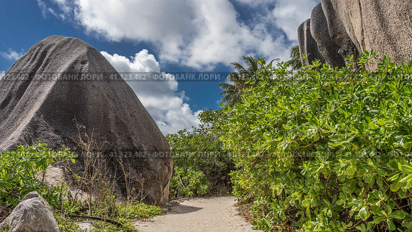 A pedestrian path passes between huge granite boulders. Lush tropical vegetation on the roadsides. Blue sky with clouds. Seychelles. La Digue Island. Стоковое фото, фотограф Вера Ивановна Кубарева / Фотобанк Лори