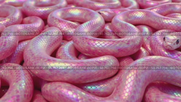 A pink snake with a rainbow pattern on its body. Стоковое AI-видео, аниматор Виктория Кольцова / Фотобанк Лори