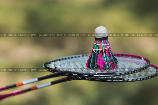 A racket and a shuttlecock on a background of green grass. Playing badminton. A summer sport. Outdoor games. Стоковое фото, фотограф Photojuli / Фотобанк Лори