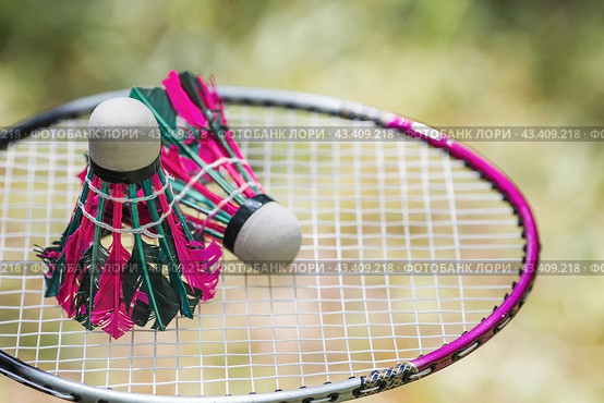 A racket and a shuttlecock on a background of green grass. Playing badminton. A summer sport. Outdoor games. Стоковое фото, фотограф Photojuli / Фотобанк Лори