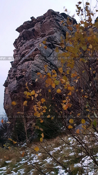 A rock with a characteristic layered structure surrounded by autumn nature. In the foreground, bushes with yellowed leaves are visible, as well as islands of snow on the ground, indicating late autumn or early winter. The rock has a rough texture, many cracks and stratifications, which makes it a unique geological formation.The landscape is typical for the Perm region, where the Ural mountain ranges are combined with forests and open landscapes. Possible location - Vetlan Rock, Chertovo Gorodishche or Stone City. Стоковое фото, фотограф Анна Кривицкая / Фотобанк Лори
