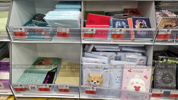 A store rack with various notebooks and diaries. In the top row, you can see notebooks on a spring with bright covers: red with the inscription Be bolder, notebooks with fantasy-style images and cartoon characters. At the bottom of the shelves are creative notebooks with cute drawings: green with an image of a cat, beige with graphics, as well as voluminous notebooks with 3D covers - with a puppy's face and the Molang character. On the right, you can see a stylish black diary with the inscription Feel the Magic and a star pattern. All products are supplied with price tags with promotional offers. The atmosphere of the photo conveys the diversity of the modern assortment of stationery, combining practicality and decorative design. Редакционное фото, фотограф Анна Кривицкая / Фотобанк Лори