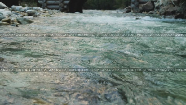 A swift mountain river with a powerful current. A majestic mountain river rushing through a beautiful natural setting, throwing up spray. Evening light. Стоковое видео, видеограф Воловодов Владимир / Фотобанк Лори