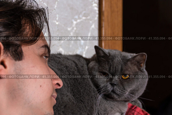 A teenager and a gray fat cat are sitting on the couch and looking at each other. Стоковое фото, фотограф Ярославский Максим / Фотобанк Лори