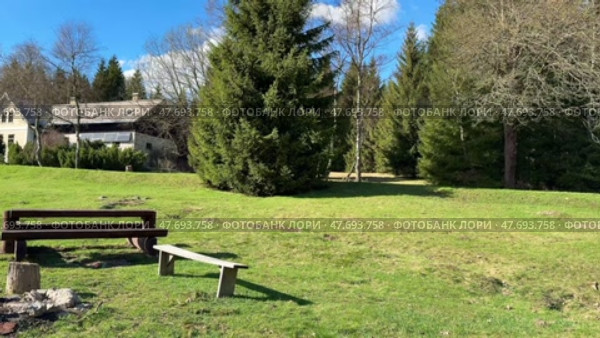 A tranquil outdoor setting with benches and a cozy campfire ring for relaxing in nature. Стоковое видео, видеограф Vladimir Vintonjak / Фотобанк Лори
